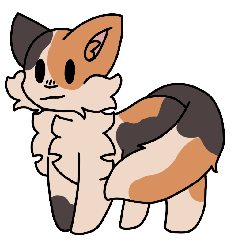  a fluffy calico cat.